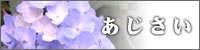 あじさい