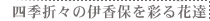 四季折々の伊香保を彩る花達
