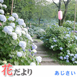 湯めぐり