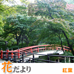 湯めぐり